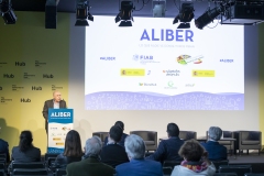 Aliber-34