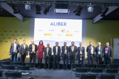 Aliber-35