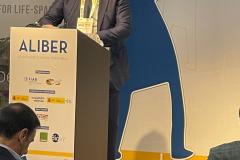 1-ALIBER-1