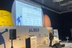 1-ALIBER-5